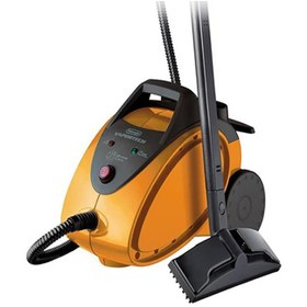 تصویر بخار شو دلونگی مدل SC100.0 