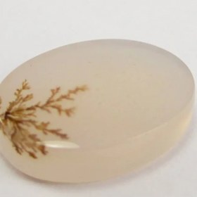 تصویر سنگ شجر کد 3033 