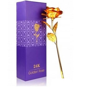 تصویر شاخه گل رز طلا کادویی با قاب پیرکس با ۲۹% تخفیف و 