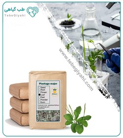 تصویر برگ بارهنگ خشک فله 