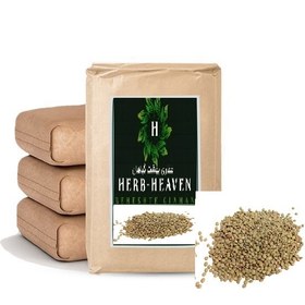 تصویر عدس ریز 