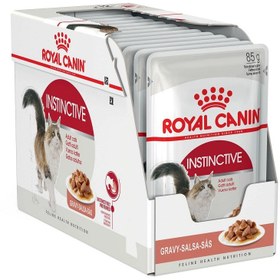 تصویر پوچ گربه Instinctive رویال کنین مدل Royal Canin Instinctive 85g