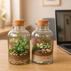 تصویر تراریوم دربسته 