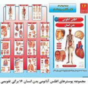 تصویر اطلس آناتومی بدن انسان 16 برگی تقویمی 