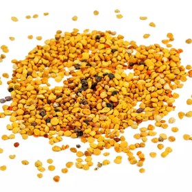 تصویر گرده گل بهار 100 گرم 