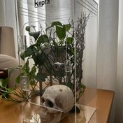 تصویر باکس پلکسی قفل دار با ارتفاع 40 