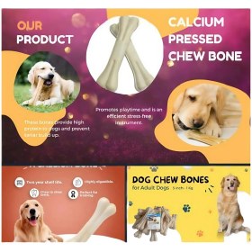 تصویر استخوان 25 و 20 سانت تک عددی 