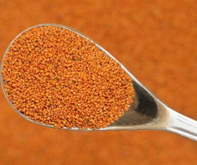 تصویر خاکشیر 