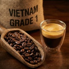تصویر قهوه ویتنام اسکرین ۱۸ گرید ۱ (روبوستا ممتاز) – رست تازه بهترین قهوه ویتنام، قهوه روبوستا دانه درشت، خرید قهوه پرکافئین اصل، قیمت قهوه ویتنام ۱۸، قهوه تلخ برای اسپرسو، قهوه سنگین و غلیظ.