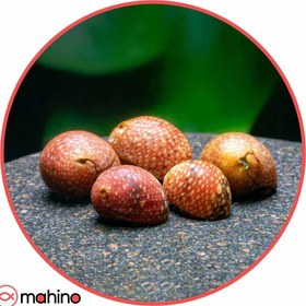 تصویر پک حلزون رد باتیک 5 عددی 