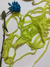 تصویر کش لبه شورت 