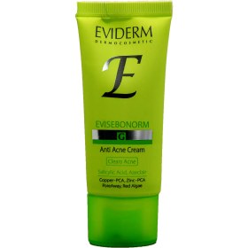 تصویر اویدرم ژل ضد جوش صورت EVIDERM ACNE SKIN GEL