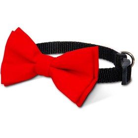 تصویر قلاده پاپیون گربه نیناپت مدل مورب Ninapet Bow Tie For