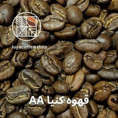 تصویر قهوه عربیکا کنیا AA 
