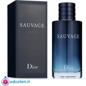تصویر ادکلن دیور ساواج-ساوج-ساواژ | Dior Sauvage 