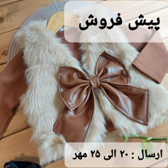 تصویر چهار تیکه خز 