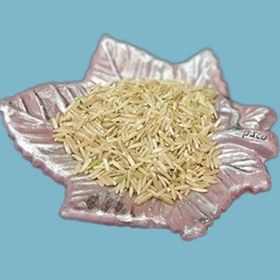تصویر برنج قهوه ای یا سبوسدار طبیعی استان فارس 5 کیلوگرم - بومی ایران 