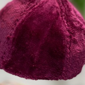 تصویر کلاه تدی - سفید 