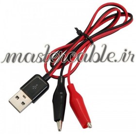 تصویر سیم سوسماری با رابط USB 