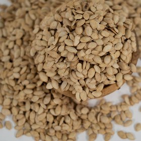 تصویر تخمه کدو گوشتی | درجه یک 