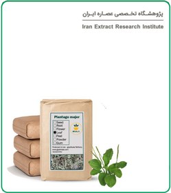 تصویر برگ بارهنگ خشک فله 