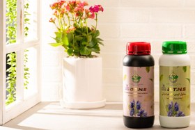 تصویر کود طباطبایD.T.N.S 