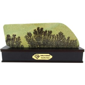 تصویر سنگ شجر فسیلی (دندریتی ) کد 2599 