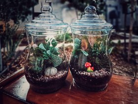 تصویر تراریوم 