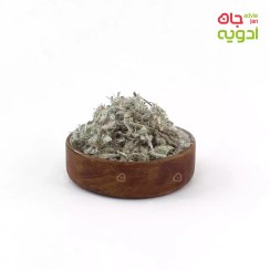 تصویر چای کوهی 