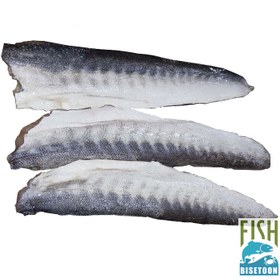 تصویر فیله ماهی کوتر(فله) 