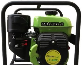 تصویر موتور آب دیزلی DIANA DN-80WPD-3 