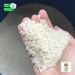 تصویر برنج طارم هاشمی ممتاز شمال 2.5 کیلویی (تست پخت) 