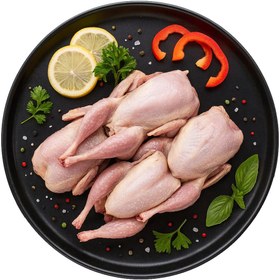 تصویر بلدرچین 