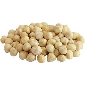 تصویر مغز فندق خارجی خام 