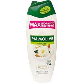 تصویر شامپو بدن پالمولیو حاوی روغن کاملیا و عصاره بادام 750 میلی لیتر Palmolive body shampoo camellia oil and almond 750m