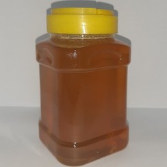 تصویر خرید عسل تغذیه خالص – خوش‌طعم، مغذی و سرشار از خواص درمانی 