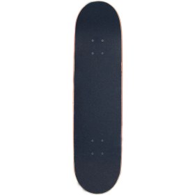 تصویر اسکیت برد حرفه ای Element Melted Seal 