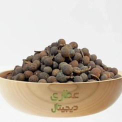 تصویر مرگ ماهی 