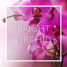 تصویر اسانس Bright Orchid 