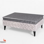 تصویر میز جلومبلی و عسلی کد ۳۰۰ طوسی 