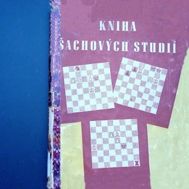 Chess Results, 1951-1955: A Comprehensive Record with 1,620 Tournament  Crosstables and 144 Match Scores, with Sources