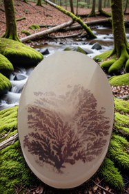 تصویر نگین عقیق شجر کد ۶۹۸ 