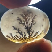 تصویر سنگ شجر قائن قواره دار زیبا خاص 