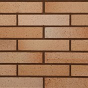 تصویر آجر نسوز آذرخش زرد شاموتی 33*7 