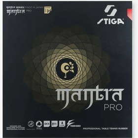 تصویر رویه Mantra Pro H استیگا 
