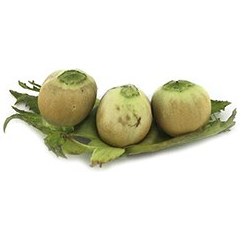 تصویر فندق تازه 