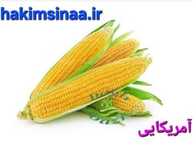 تصویر ذرت آمریکایی کیلو ۱۲۰ 