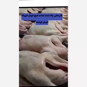 تصویر پک محلیجات غاز خوش خوراک پاک کرده اماده طبخ 2عدد ارسال با باکس یخ 