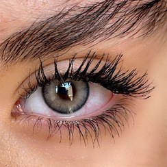 تصویر لنز طوسی سبز دور مشکی گری گرین سلنا 