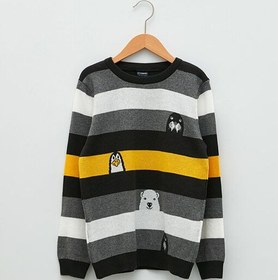 تصویر پلیور کودک / نوجوان ال سی وایکیکی lc waikiki | W15814Z4-LFY